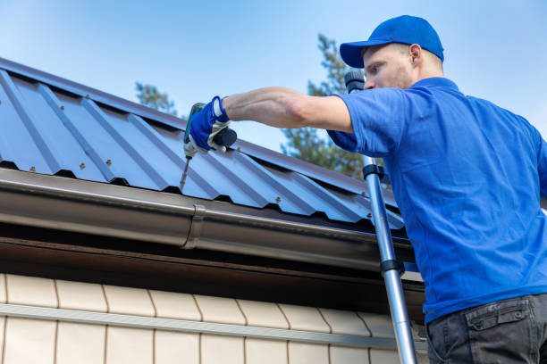 Best Metal Roofing Installation  in La Crescent, MN