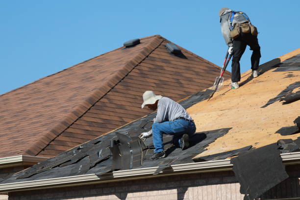 Best Emergency Roof Repair Services  in La Crescent, MN