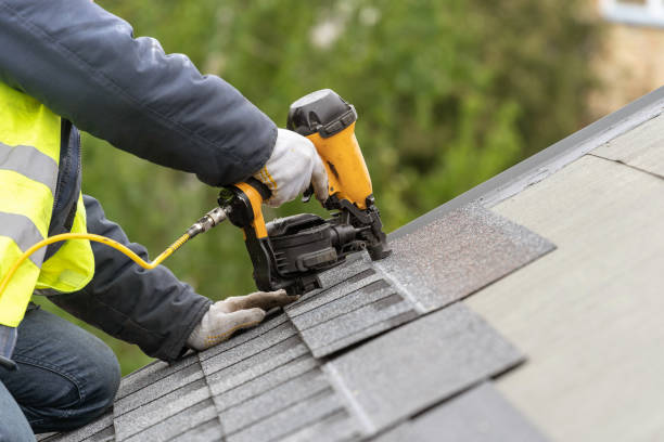 Best Solar Panel Roofing Installation  in La Crescent, MN
